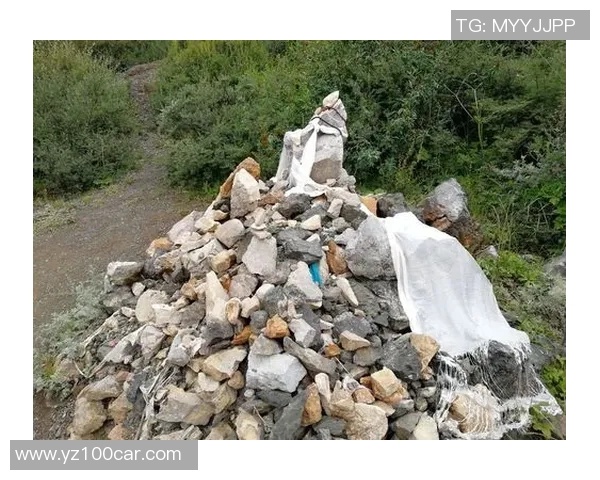 萨林杰的文学魅力与人生哲学探讨:从孤独到自我救赎的心灵旅程