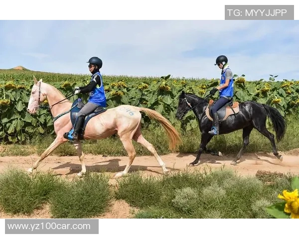 马术障碍赛的魅力与挑战探索骑手与马匹的完美默契与竞技精神
