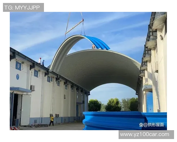 首尔衣恋与富川市场发展趋势对比分析及未来展望